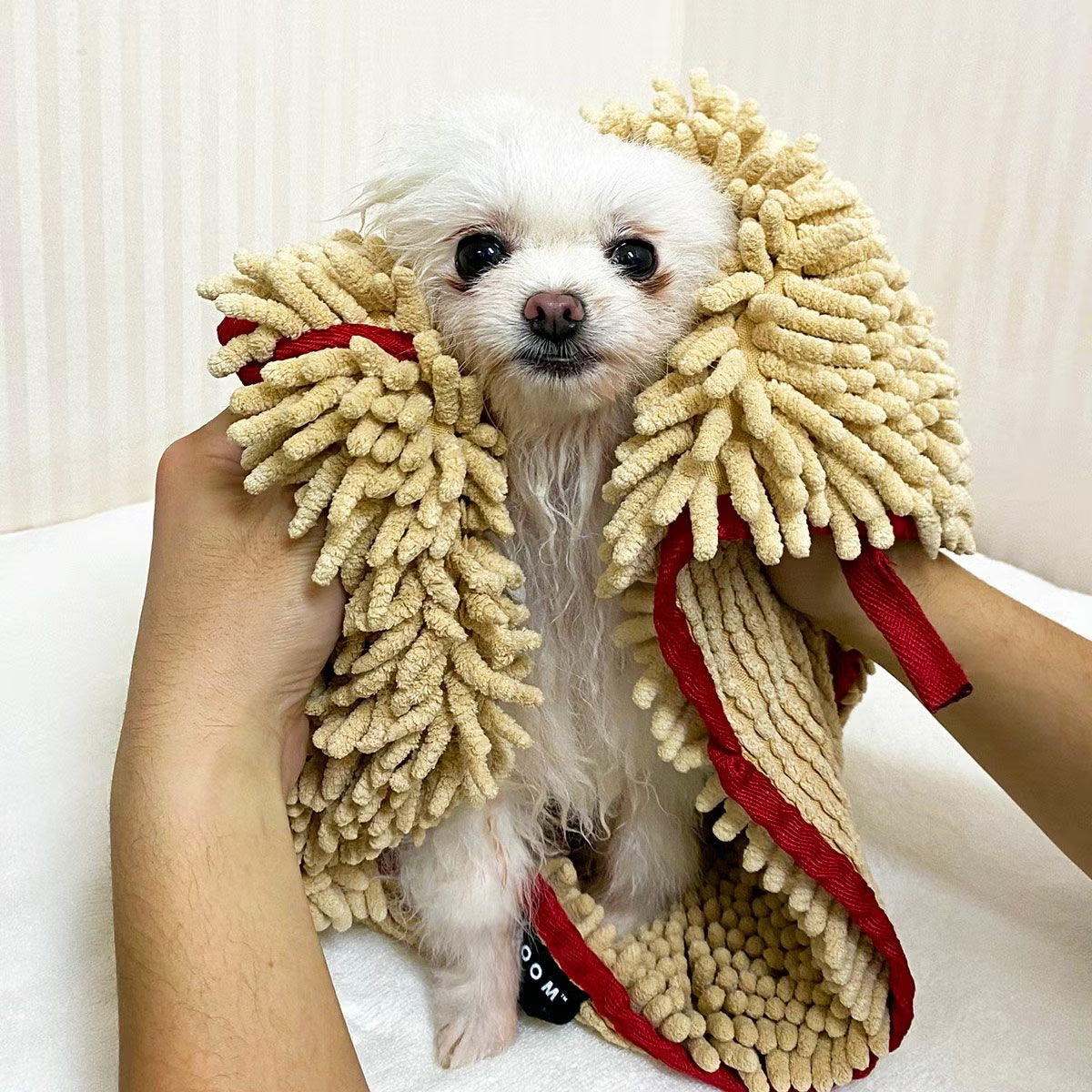 PRIDE+GROOM（プライドアンドグルーム）マイクロファイバータオル 犬・猫用 速乾 吸水 | PET LAB
