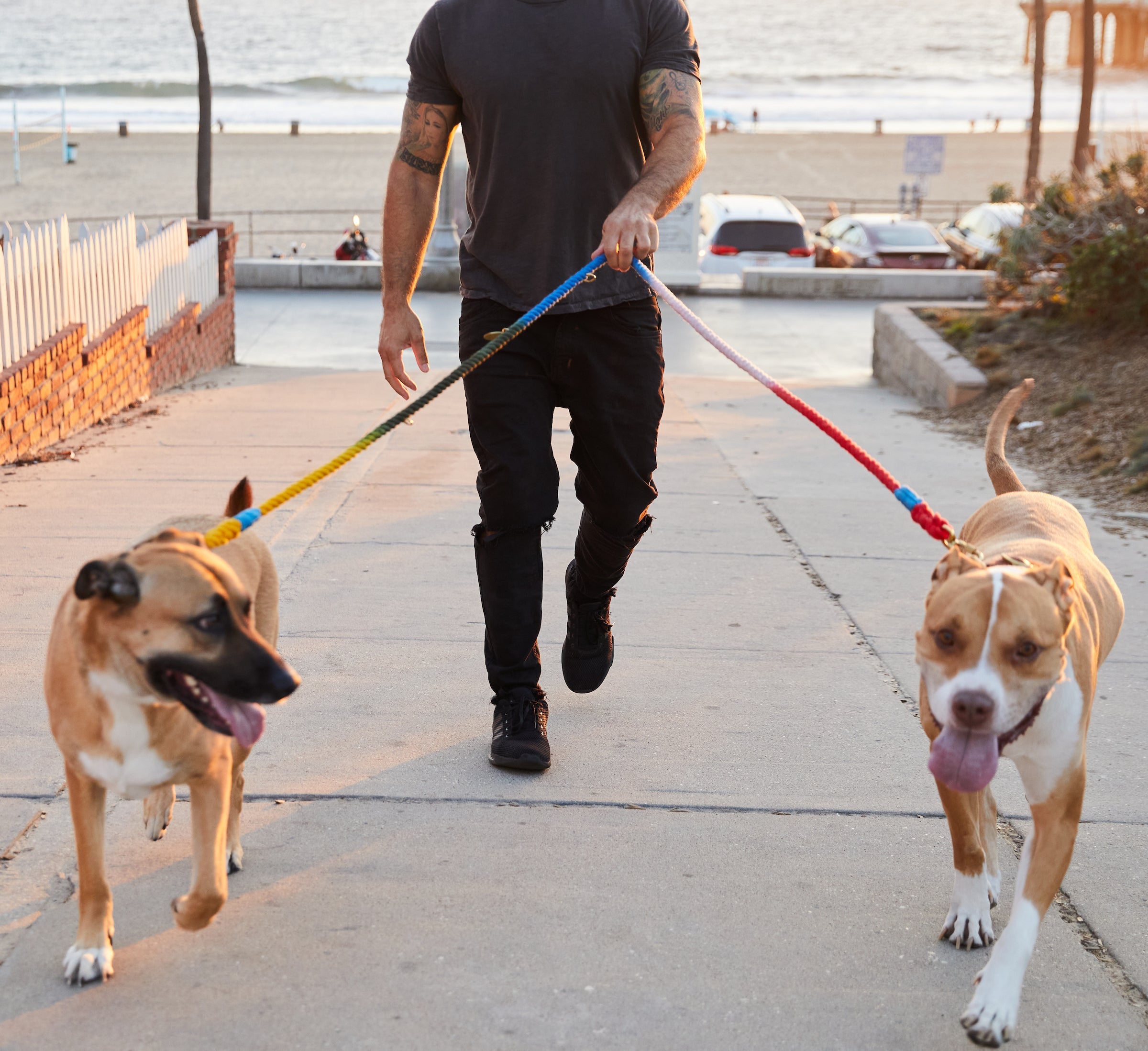 FMA 7Ft Ombre Leash Olive