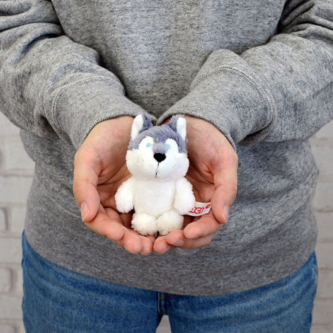 BB シベリアンハスキー 10cm