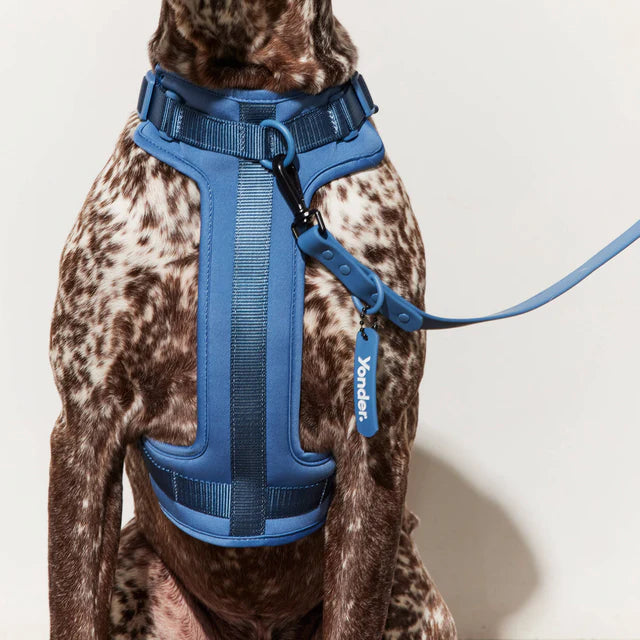 yonder dog Harness Blue
