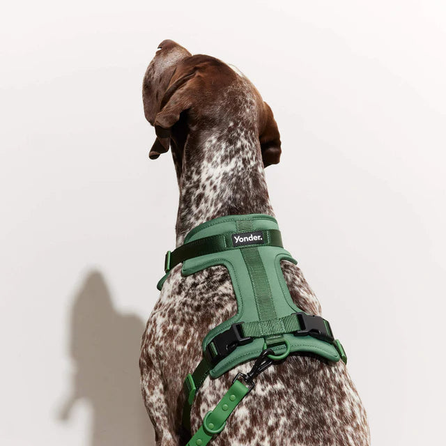 yonder dog Harness Green