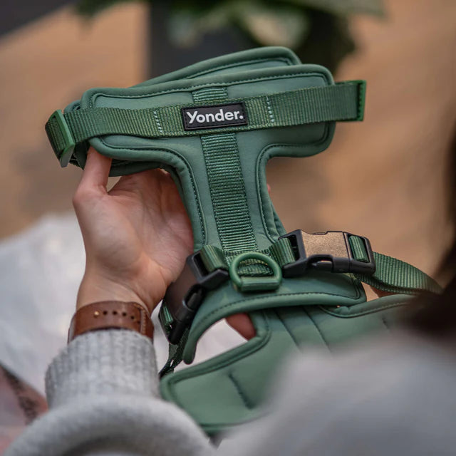 yonder dog Harness Green