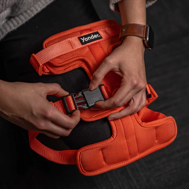 yonder dog Harness Peach