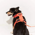 yonder dog 防水ドッグハーネス ピーチ 犬用ハーネス | PET LAB