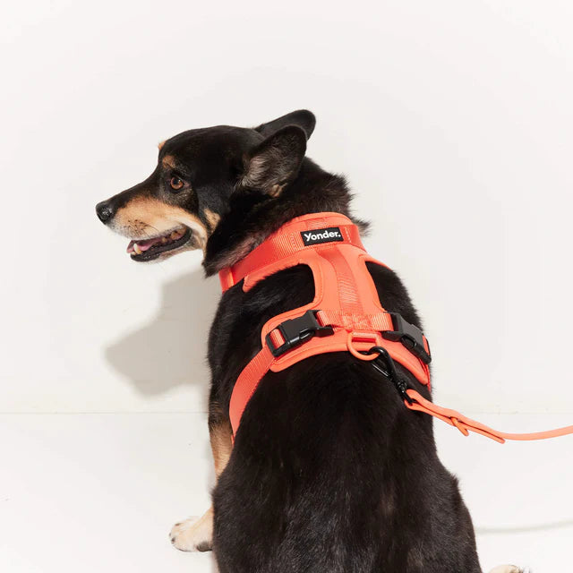 yonder dog 防水ドッグハーネス ピーチ 犬用ハーネス | PET LAB