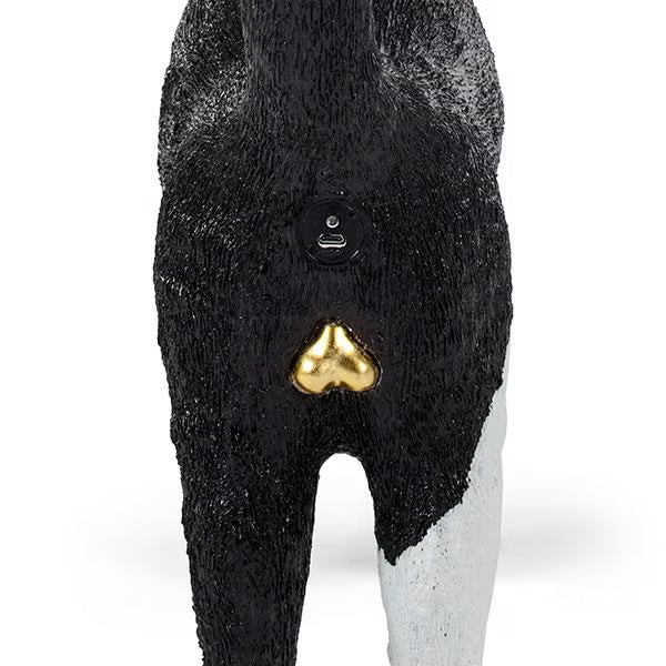 SELETTI JOBBY ザキャット WH/BK