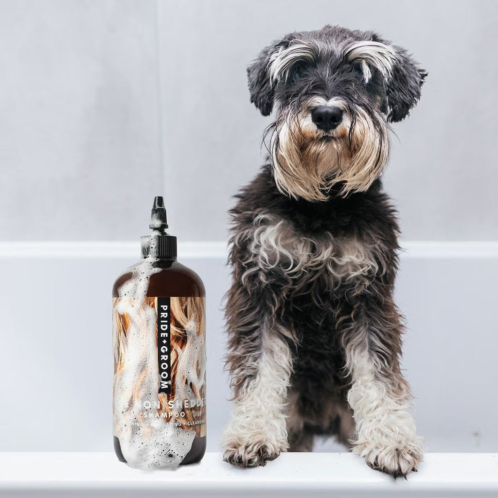 PRIDE＋GROOM ノンシェダー　ペットシャンプー 475ml