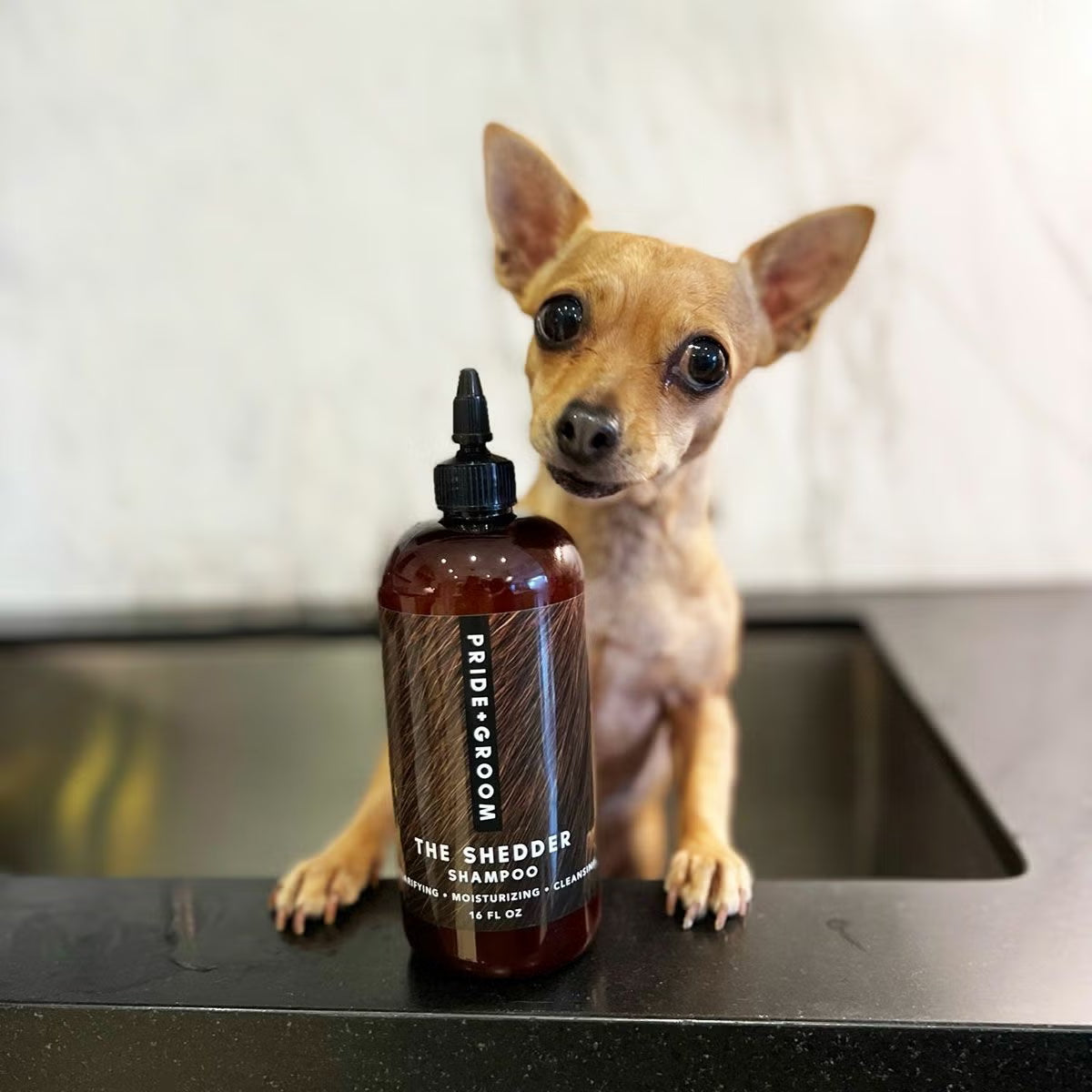 PRIDE＋GROOM シェダー　ペットシャンプー 475ml