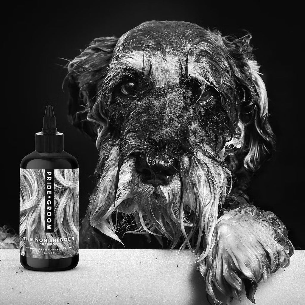 PRIDE+GROOM（プライドアンドグルーム）ノンシェダー ペットシャンプー 355ml 抜け毛が少ない犬種用 犬・猫用 | PET LAB
