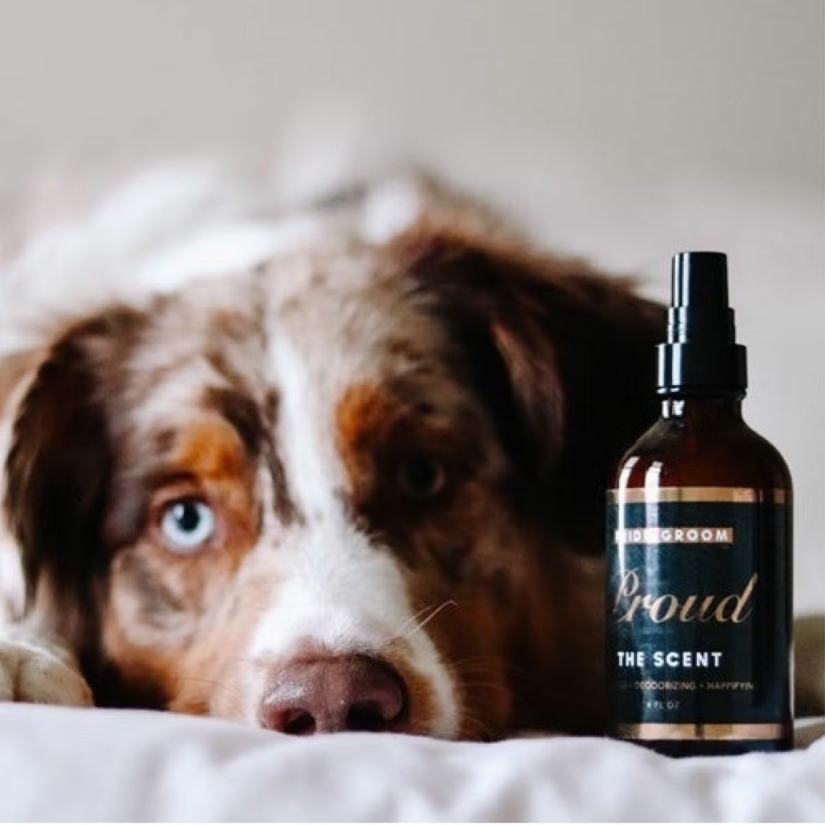 PRIDE+GROOM（プライドアンドグルーム）ペットセント 4oz 犬用フレグランス | PET LAB
