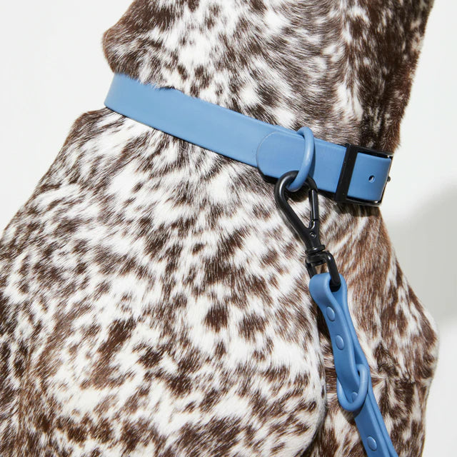 yonder dog Collar Blue