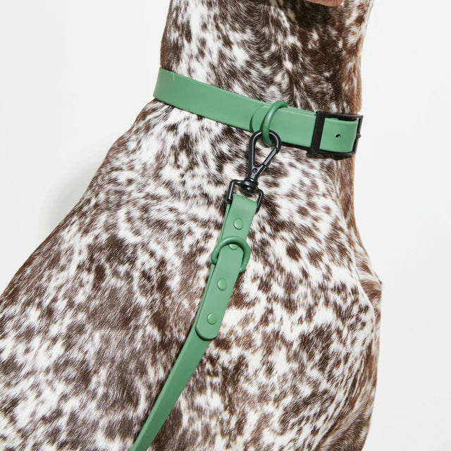 yonder dog Collar Green