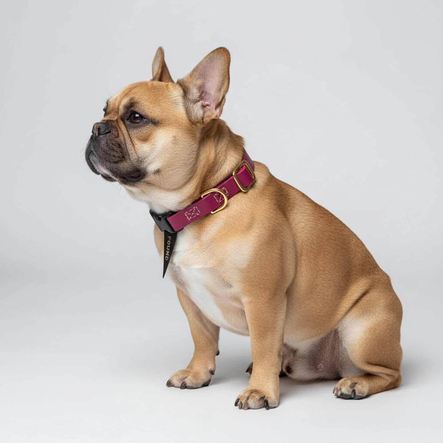 FMA Water Resistant Collar Berry