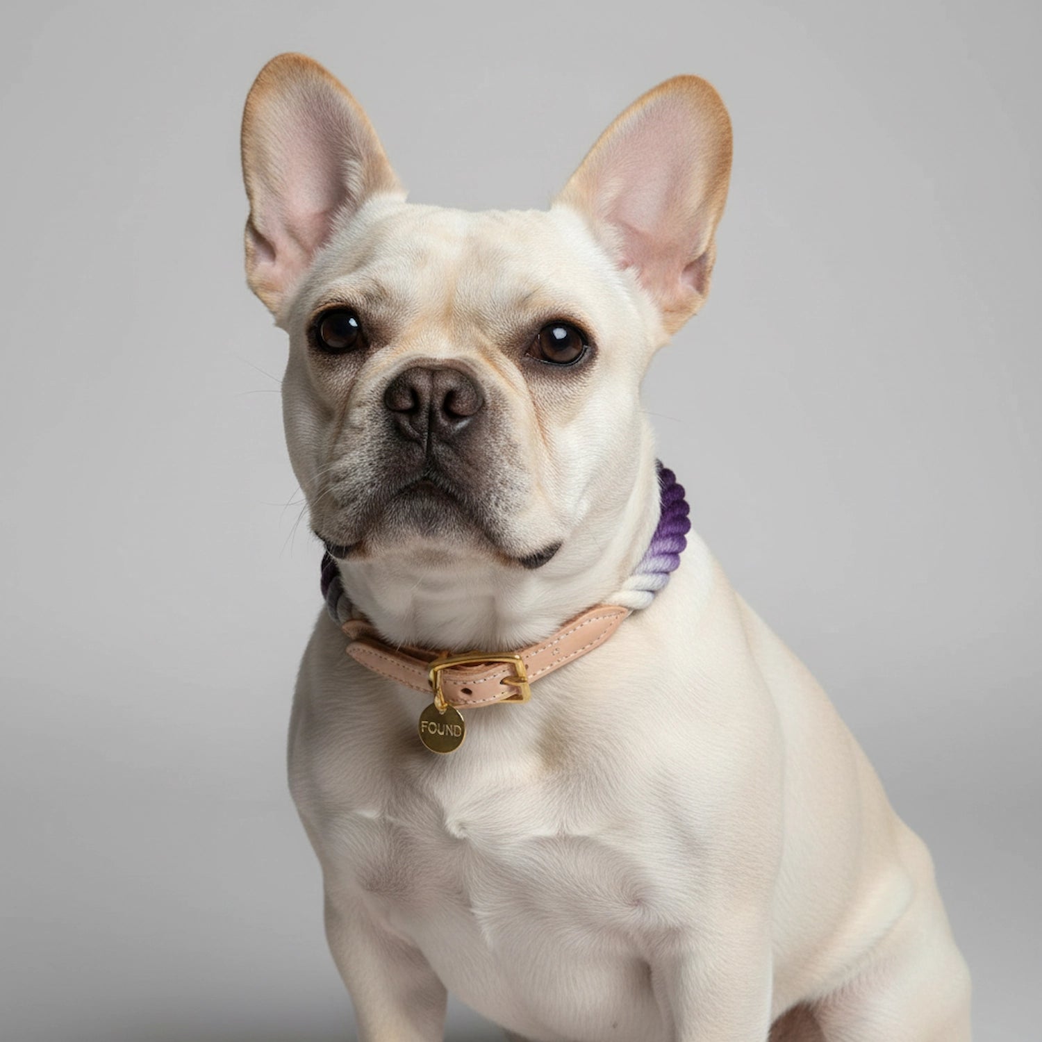FMA Rope Ombre Collar Purple
