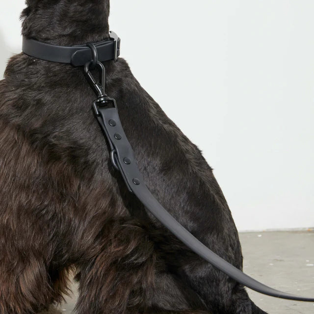 yonder dog Lead Black