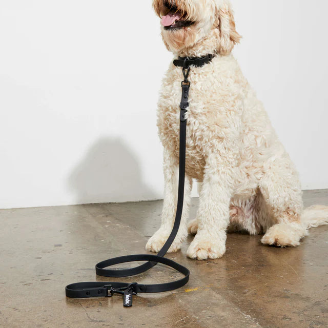 yonder dog Lead Black