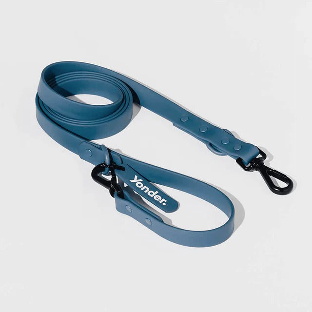 yonder dog Lead Blue