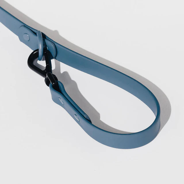 yonder dog Lead Blue