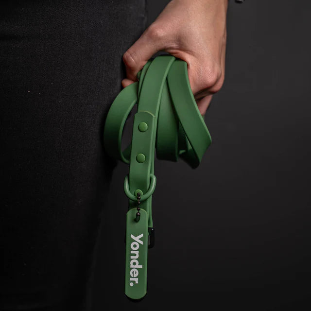 yonder dog Lead Green