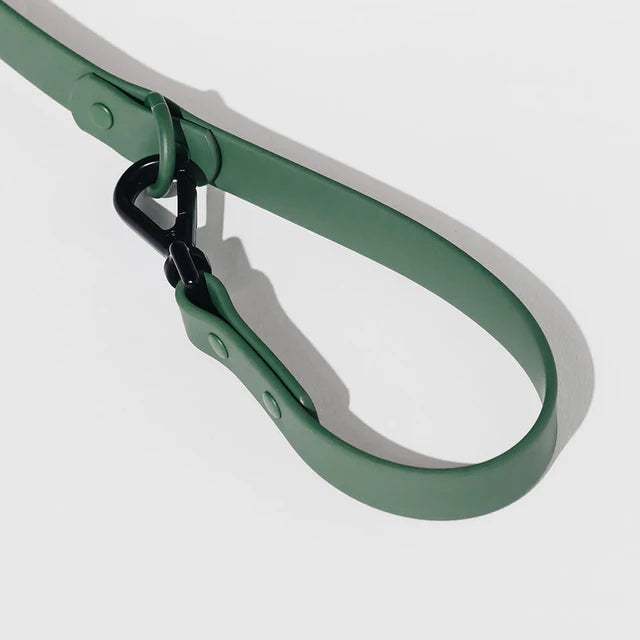 yonder dog Lead Green