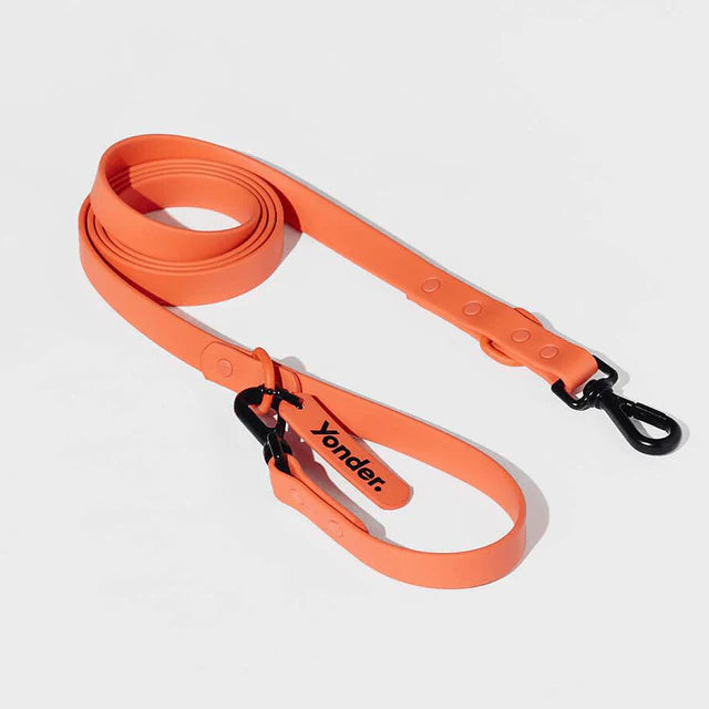 yonder dog Lead Peach