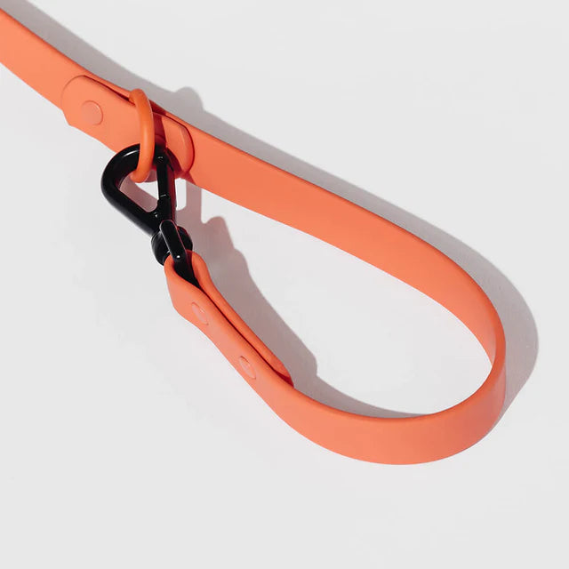 yonder dog Lead Peach