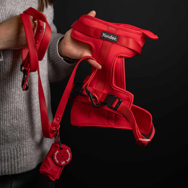 yonder dog Lead Red