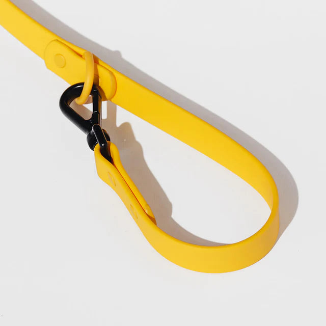 yonder dog Lead Yellow