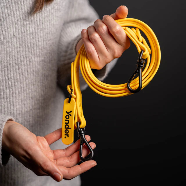 yonder dog Lead Yellow